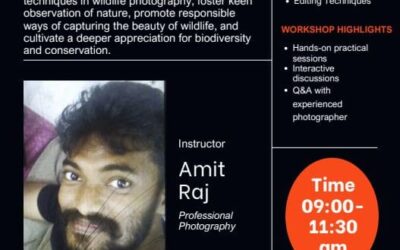 Wildlife Photography Workshop